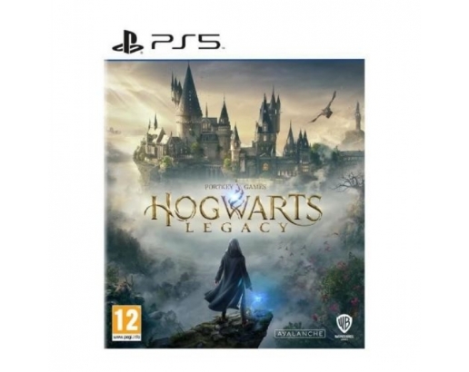 HOGWARTS LEGACY -...