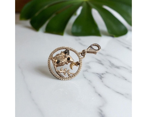 Pendentif Hibou - Argent...